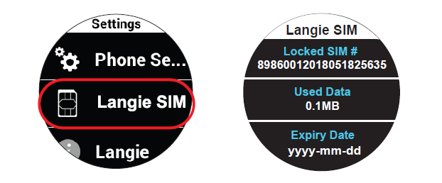 بطاقة sim langie